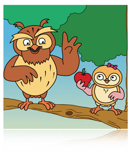 Wise Owl's Drug Safety Kit