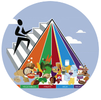 nutrition videos
