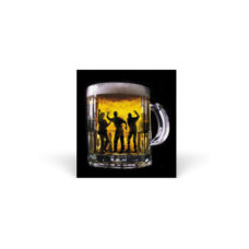 Alcohol & the Teenage Brain - A Video Guide for Parents & Professionals - DVD